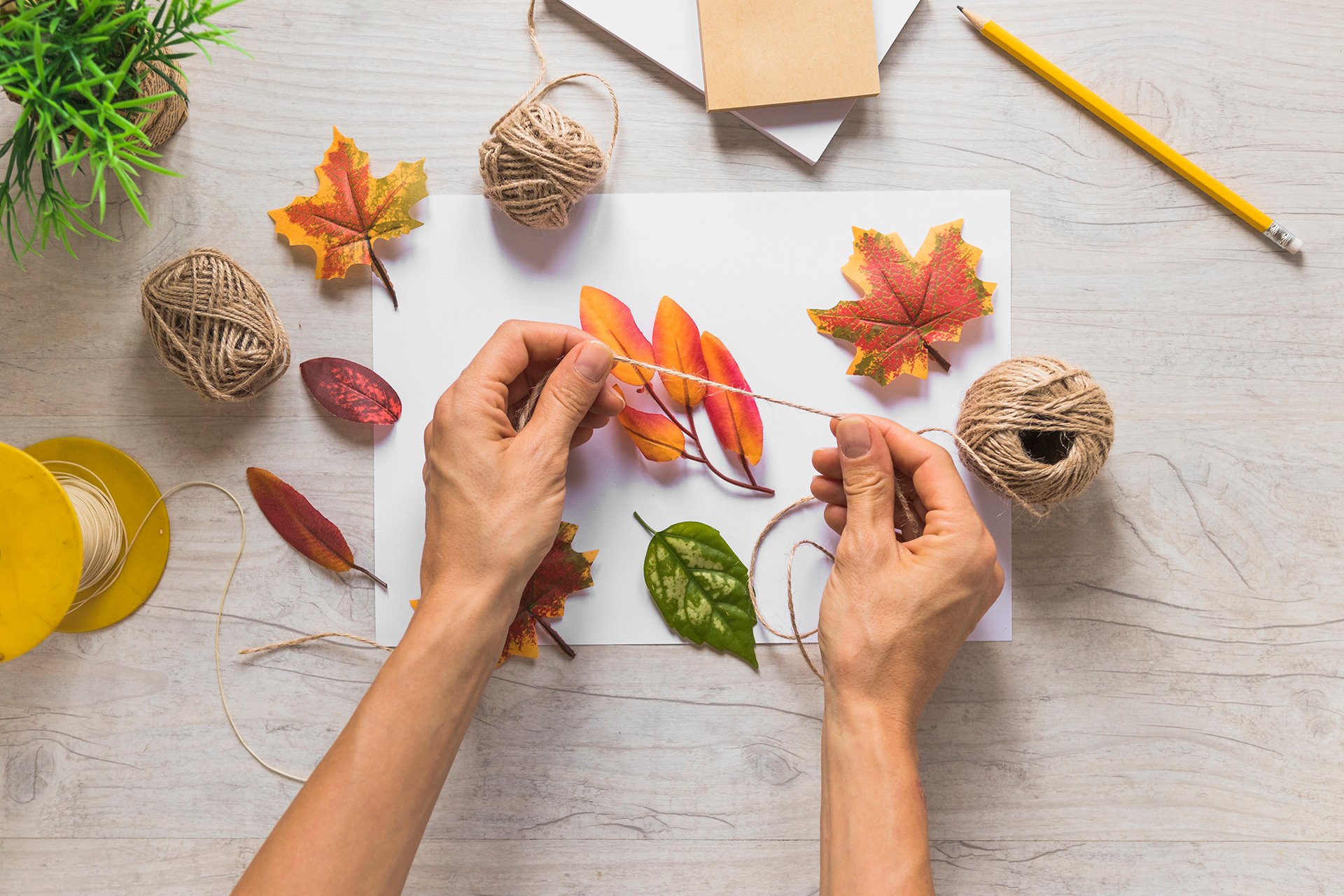 Creative DIY Ideas for Home Décor and Gifts